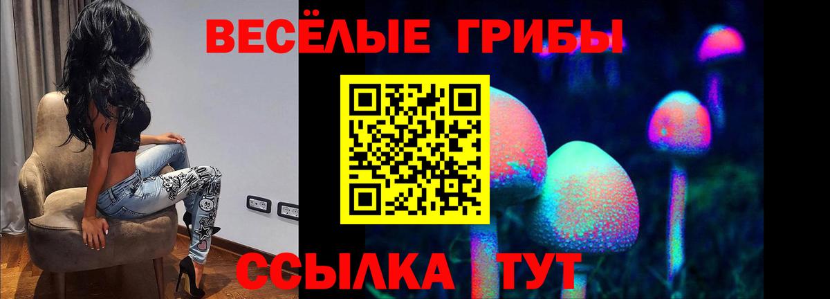 Галлюциногенные грибы мицелий Биробиджан
